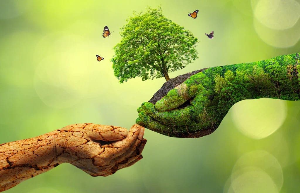 Sustainable Lifestyle Choices You Can Start Today