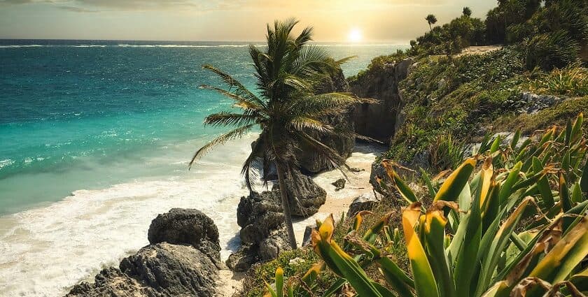 Tacos, Temples, and Tropical Vibes: The Ultimate Group Trip Across Mexico