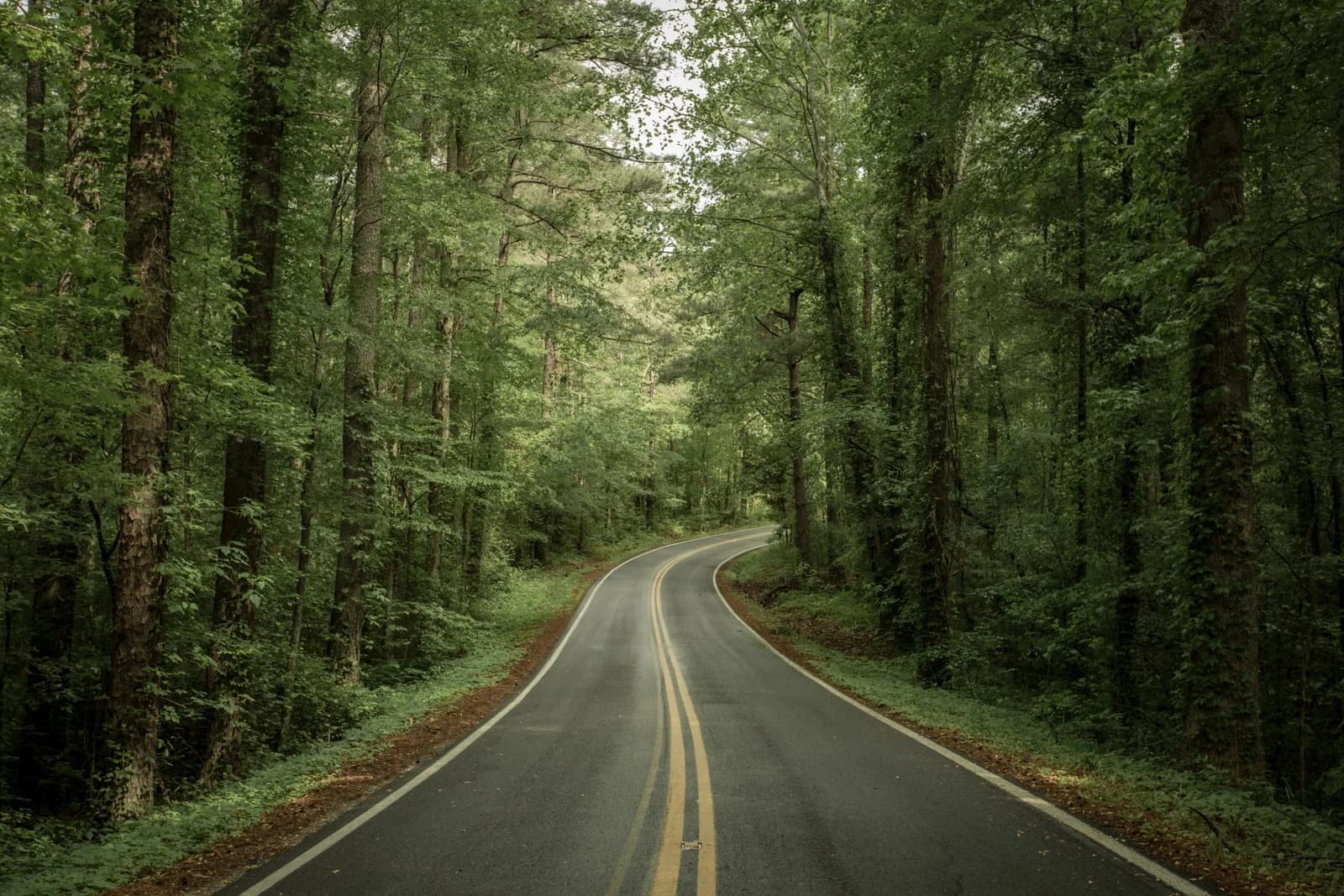 USA Family Road Trips: Iconic Routes and Unforgettable Stops for All Ages