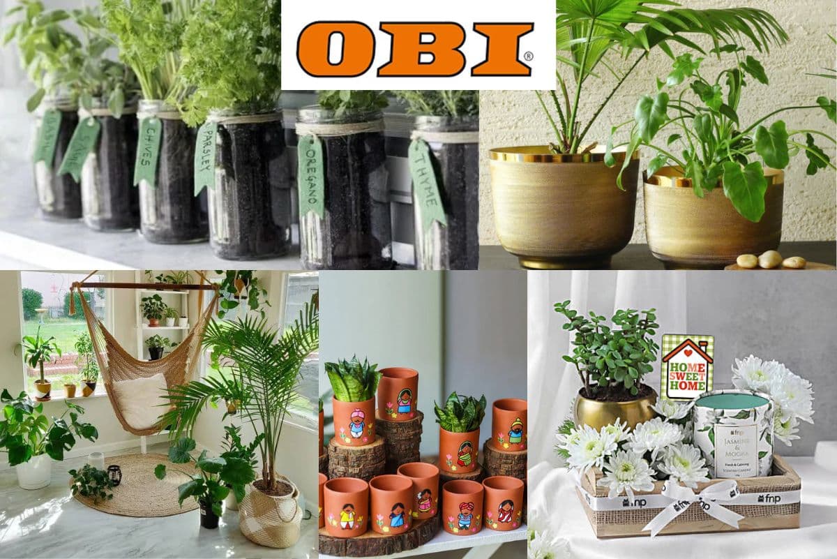 OBI Gift Ideas for Housewarmings Home Décor and Garden Items on Sale