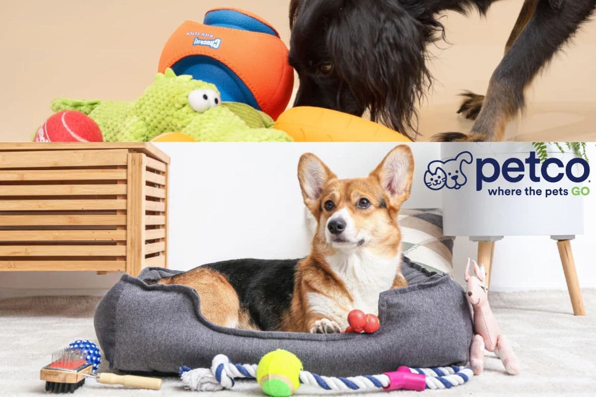 Petco Must-Have Dog Products on Sale Beds Treats Toys & More