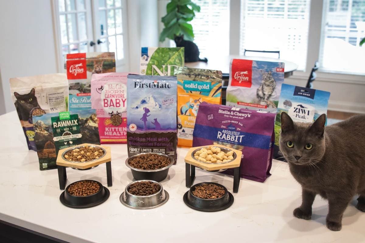 Zooplus Private Label Cat Food: Is It Worth Buying?