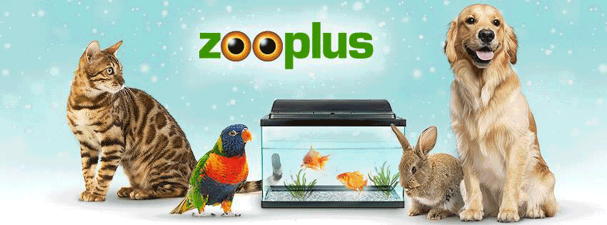 Best Zooplus Offers for Multi-Pet Families This Summer